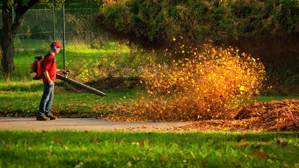 Green Waste Disposal. Garden Services near Barford