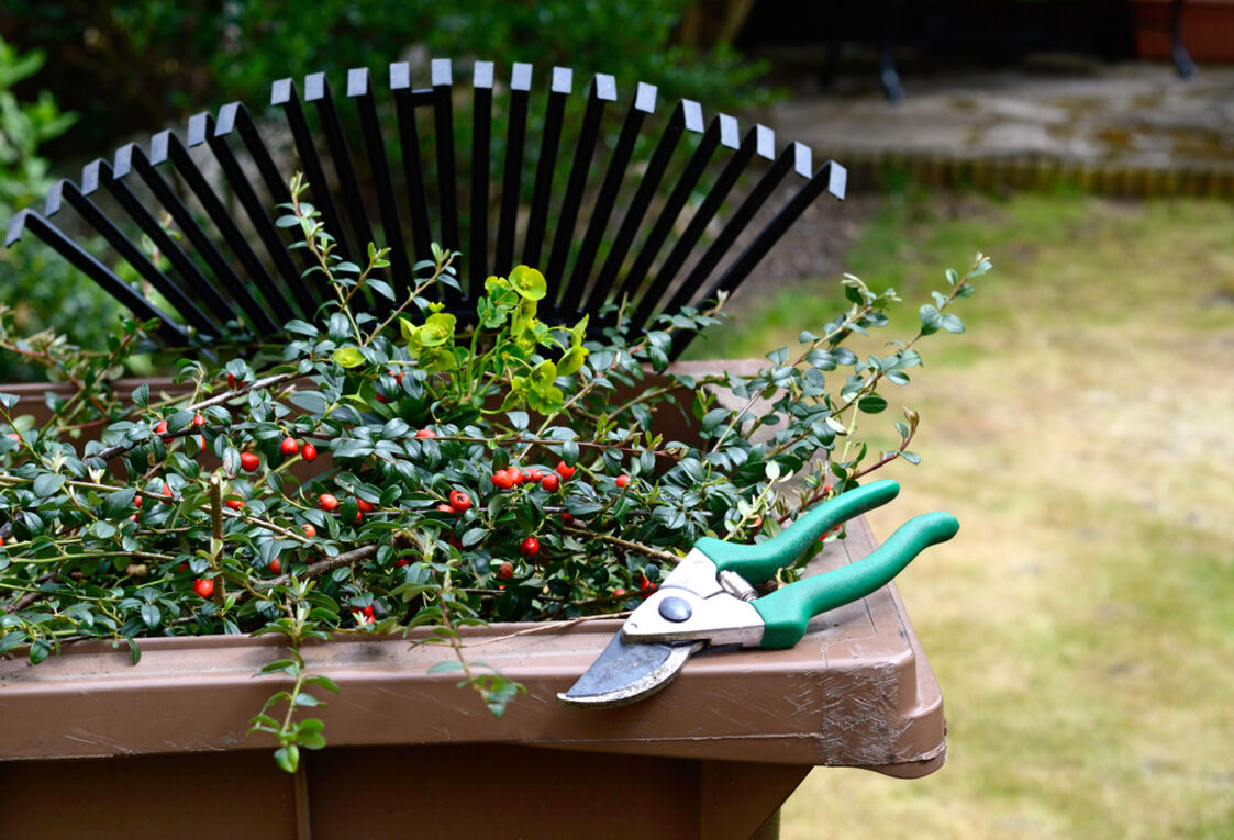 Green Waste Disposal. Garden Services in Bishop's Tachbrook