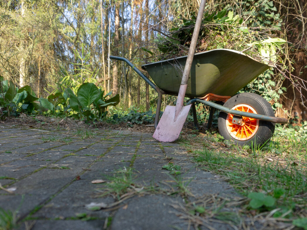 Green Waste Disposal. Garden Services in Finwood