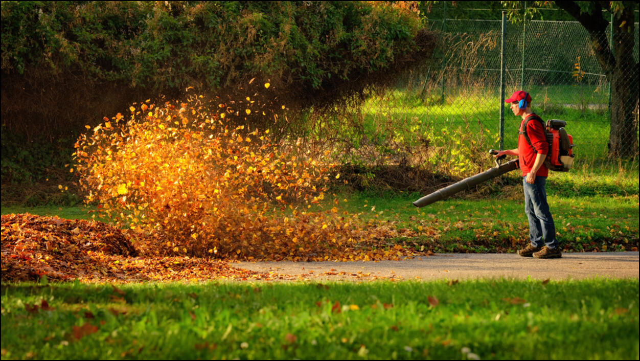 Green Waste Disposal. Garden Services near Hatton Green