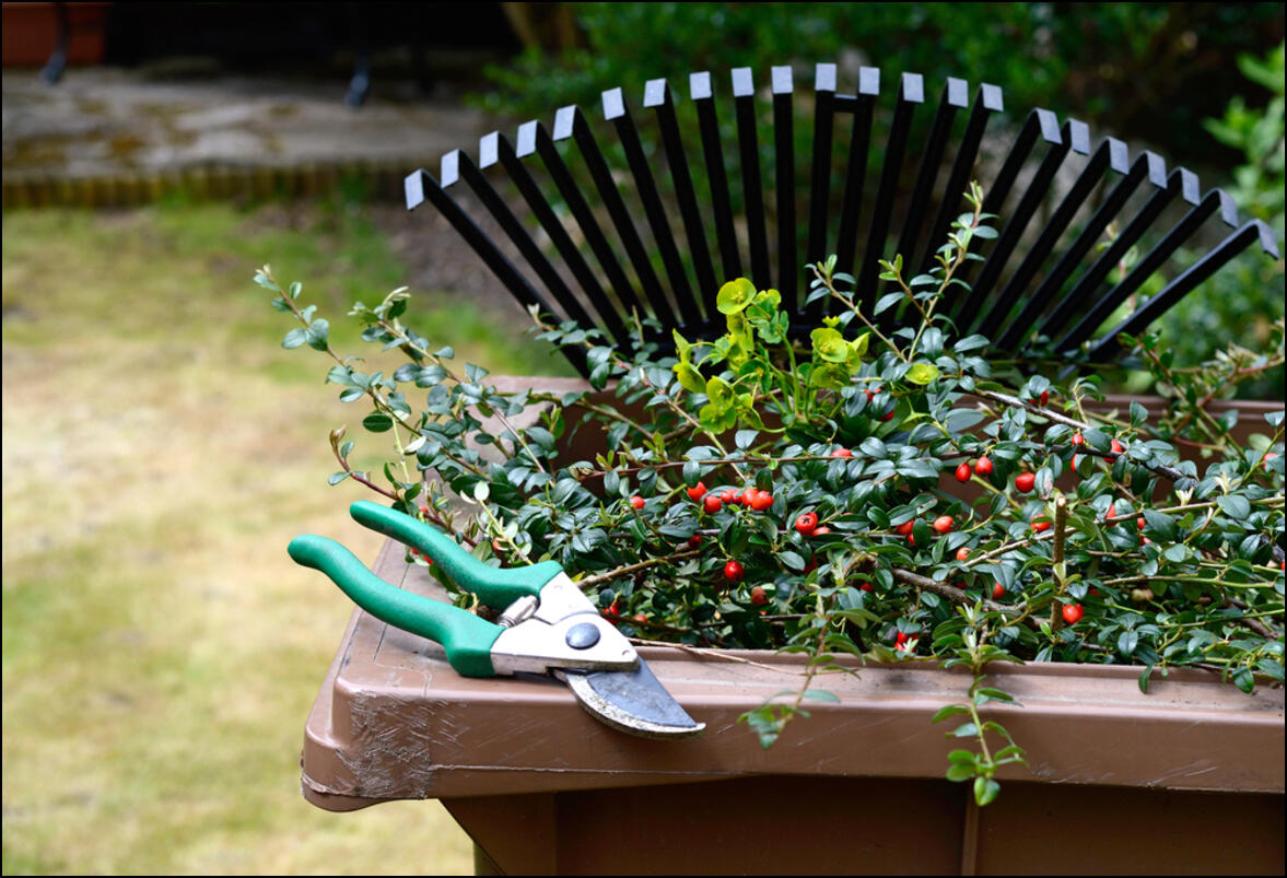 Green Waste Disposal. Garden Services near you Tachbrook Mallory