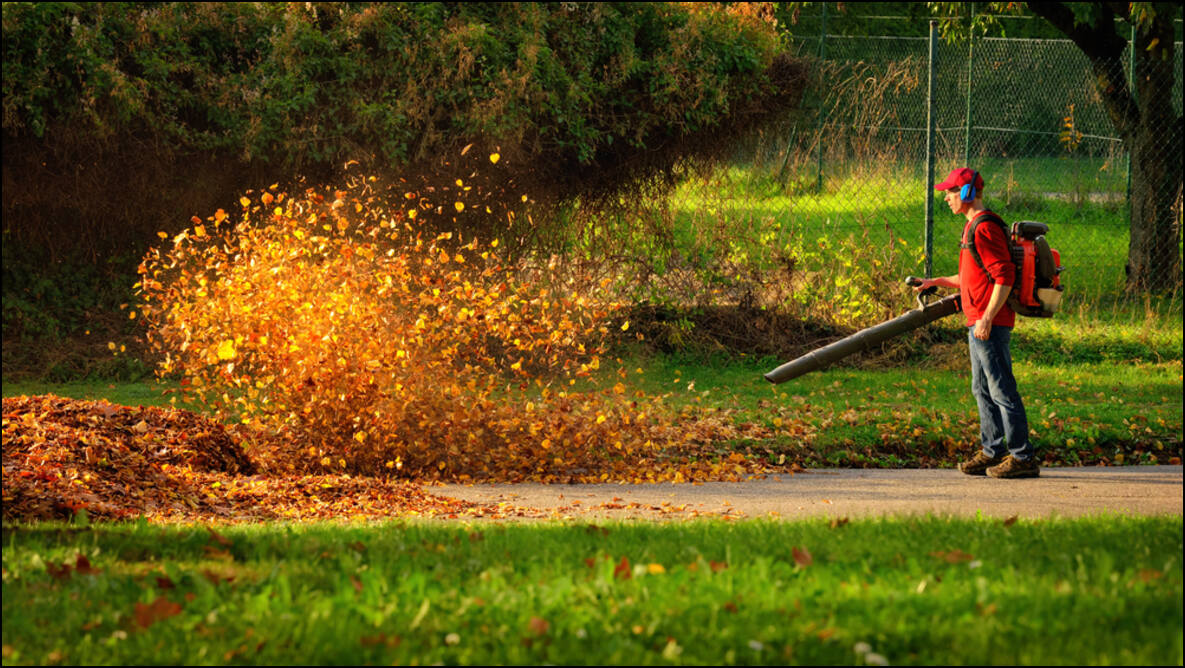 Green Waste Disposal. Garden Services near you Whitnash