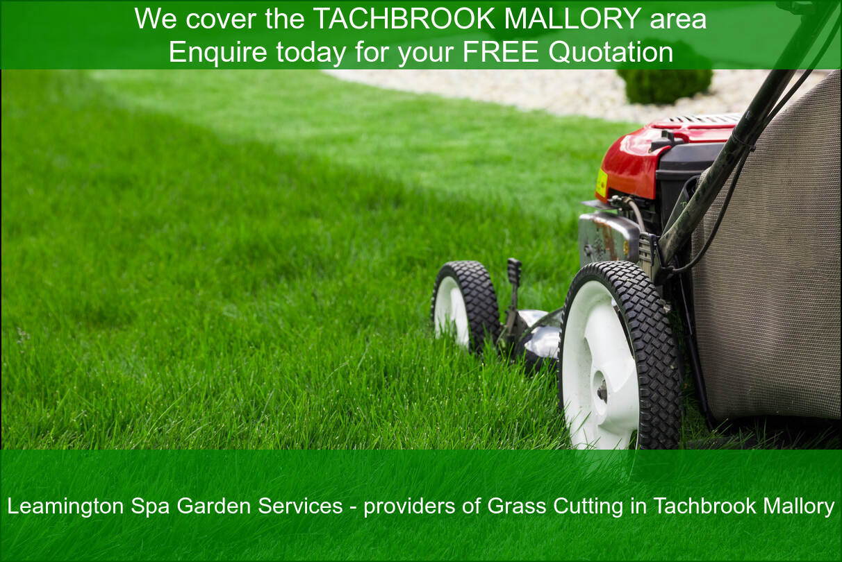 Grass mowing in Tachbrook Mallory