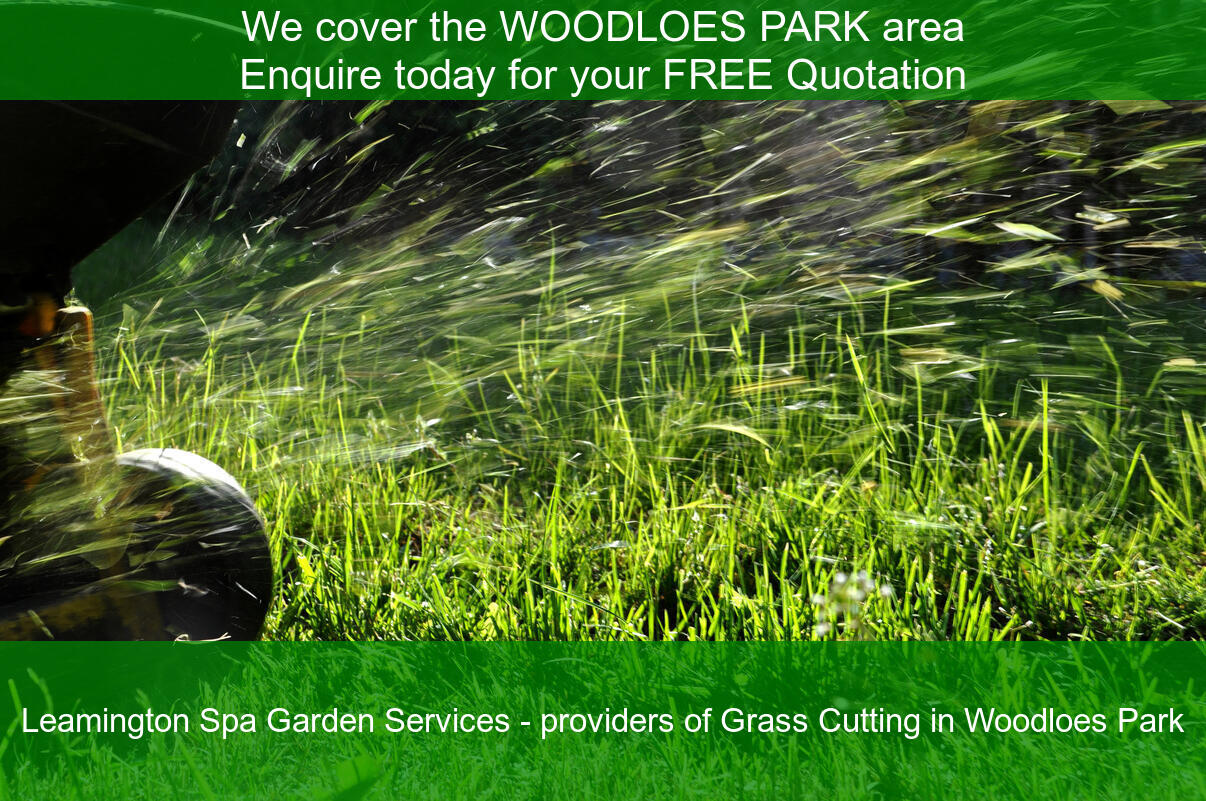 Grass mowing in Woodloes Park