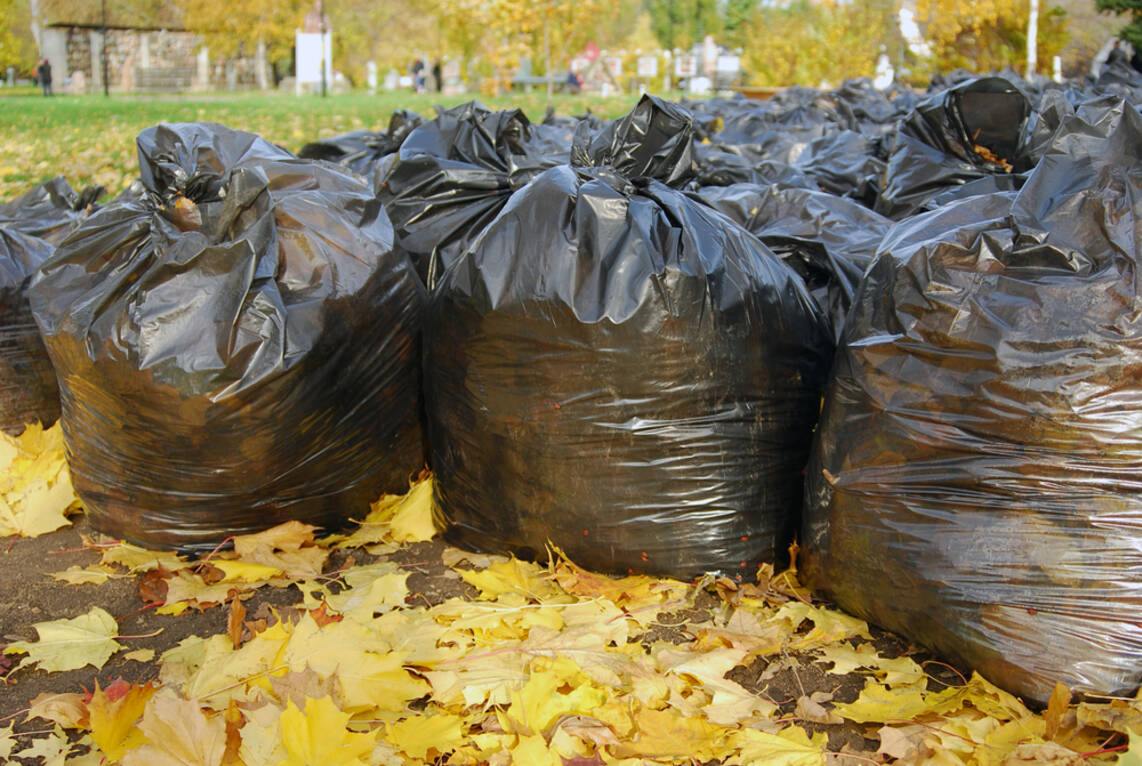 Green Waste Collection by Leamington Spa Garden Services