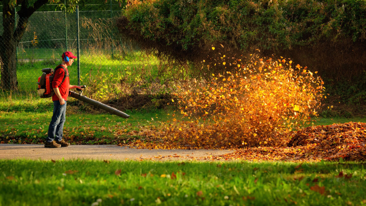 Green Waste Collection by Leamington Spa Garden Services