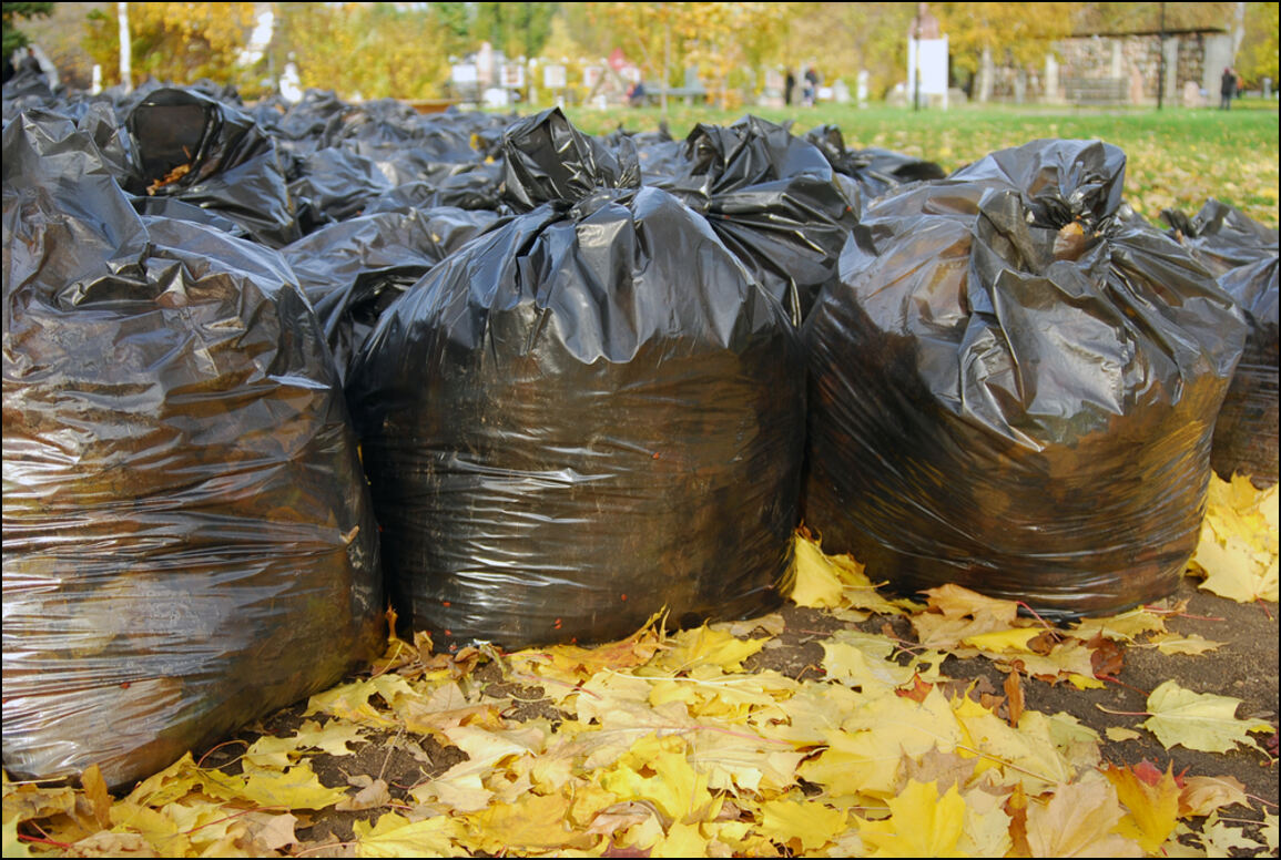 Garden rubbish clearances done for you in Bridge End.