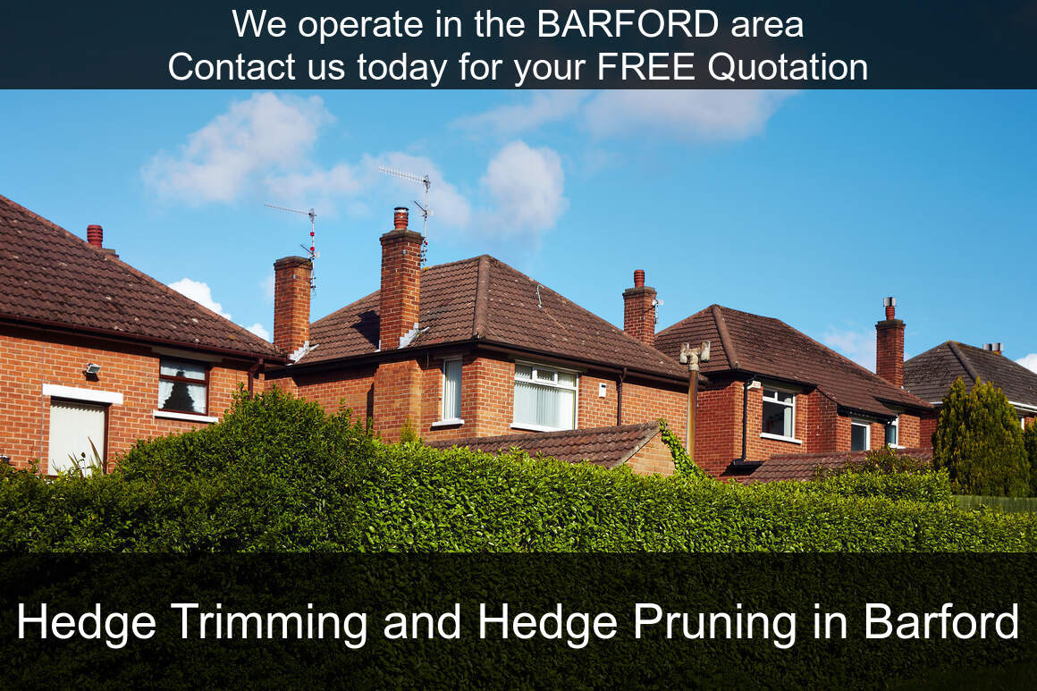 Hedge Maintenance Services near Barford