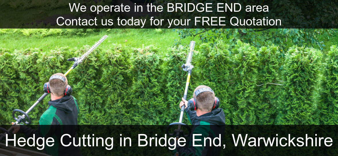 Hedge Maintenance Services near Bridge End