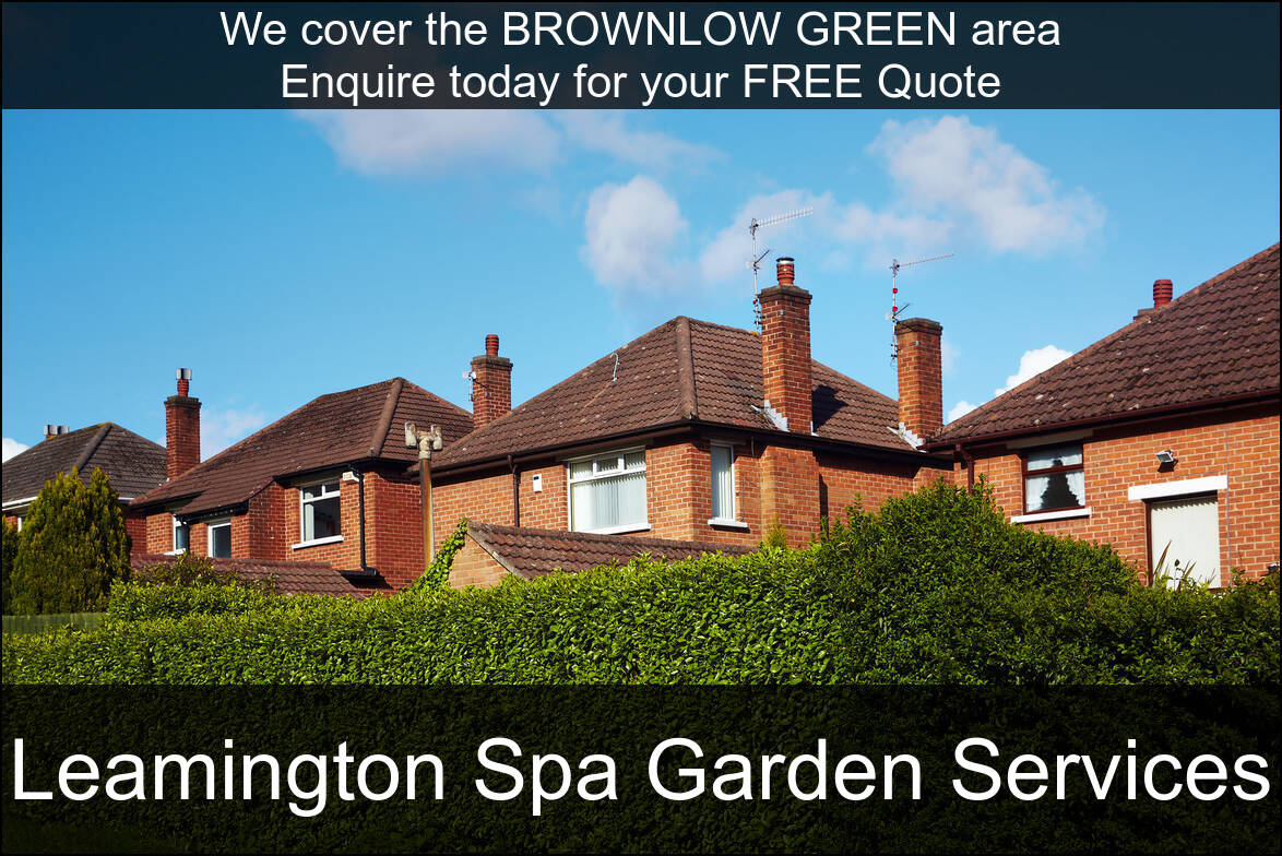 Hedge Maintenance Services in Brownlow Green