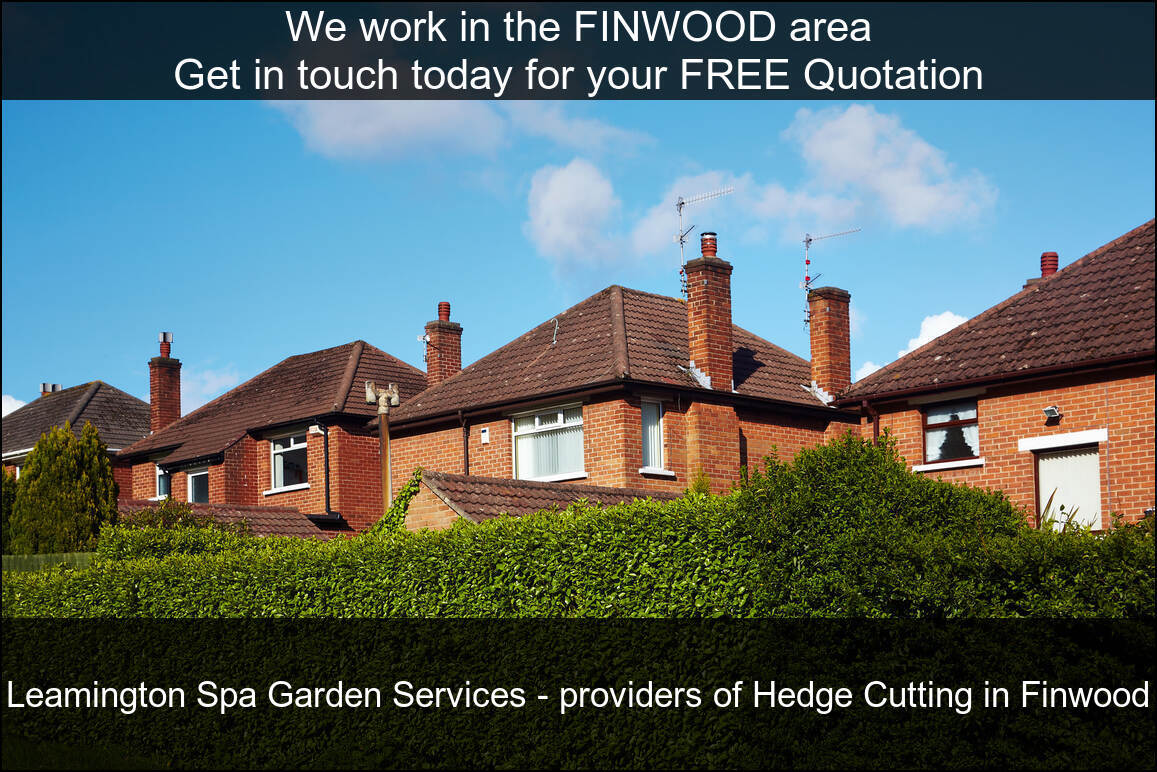 Hedge Maintenance Services in Finwood