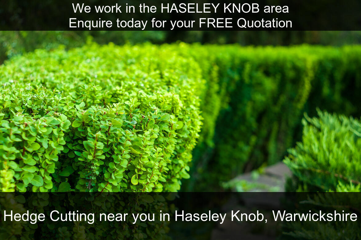 Hedge Maintenance Services near you in Haseley Knob