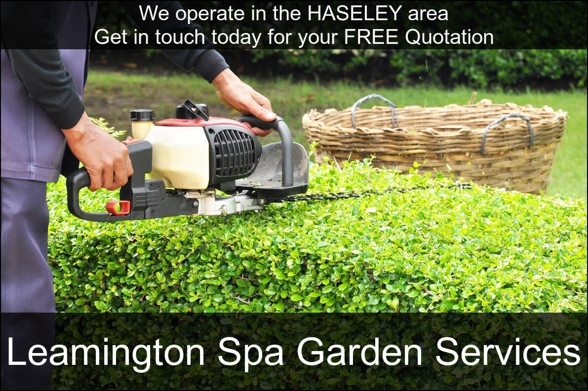 Hedge Maintenance Services near you in Haseley