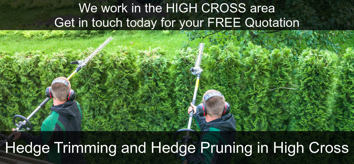 Hedge Maintenance Services in High Cross