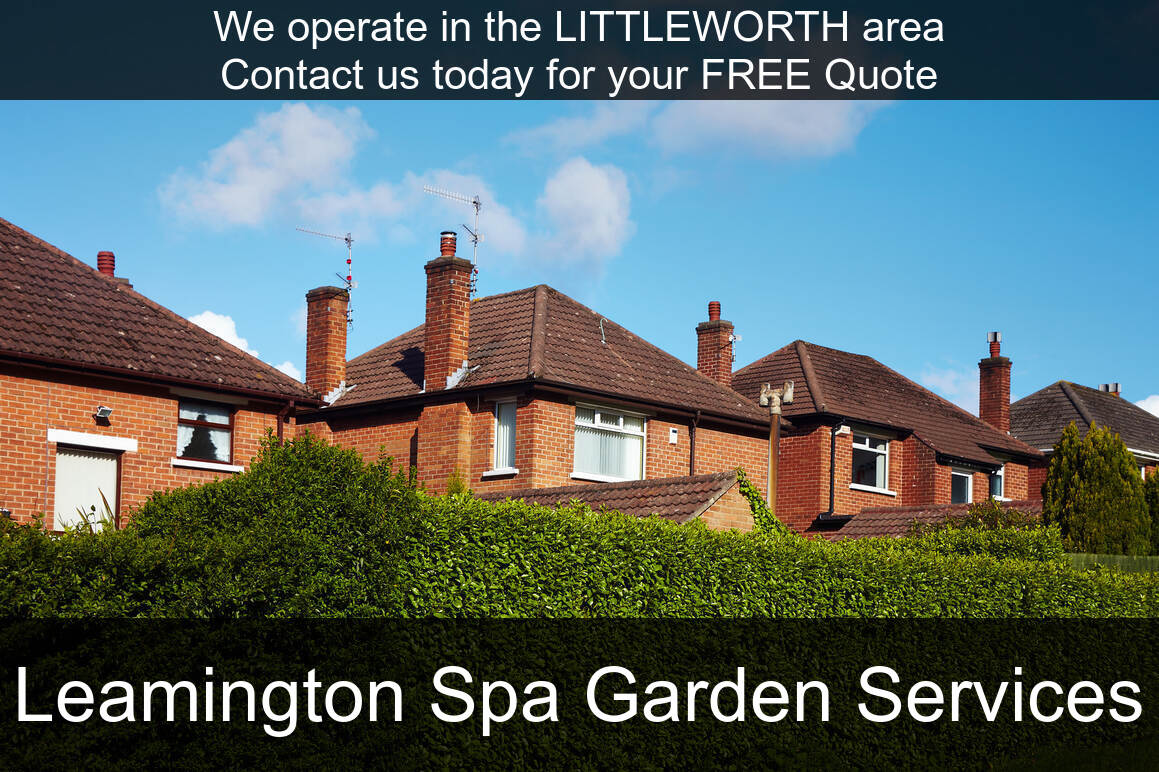 Hedge Maintenance Services near you in Littleworth