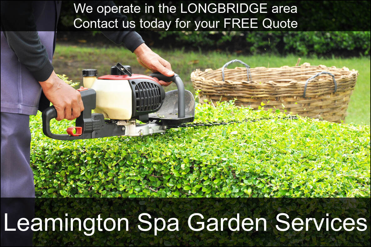 Hedge Maintenance Services near you in Longbridge