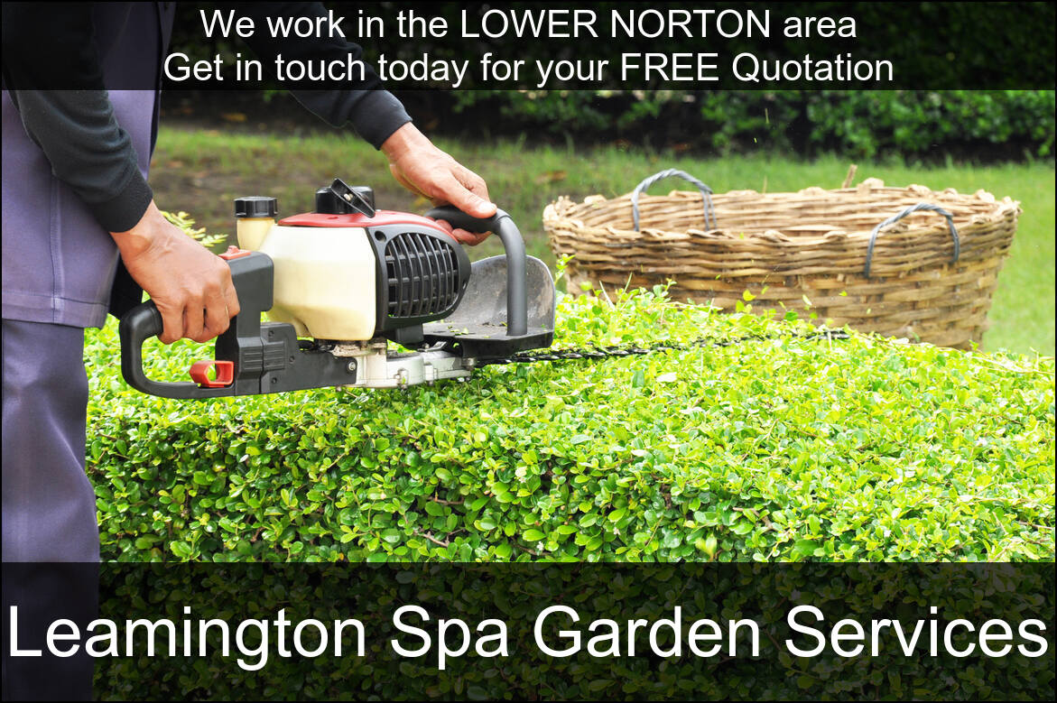 Hedge Maintenance Services in Lower Norton