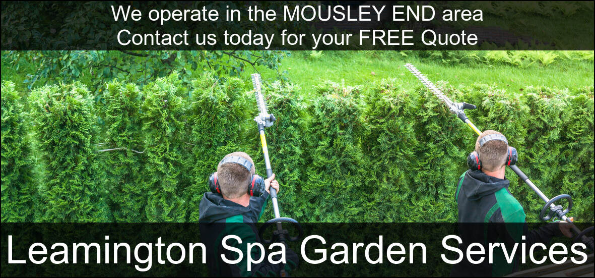 Hedge Maintenance Services near Mousley End