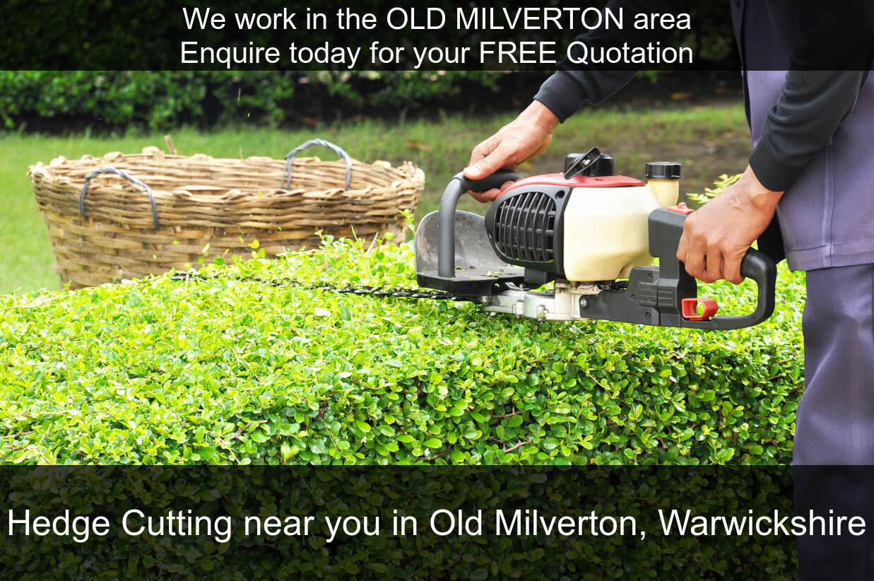 Hedge Maintenance Services near you in Old Milverton