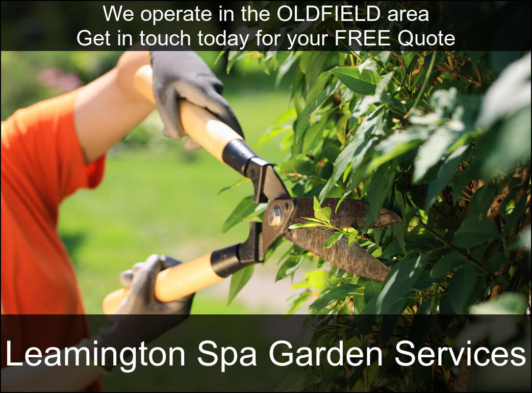 Hedge Maintenance Services in Oldfield