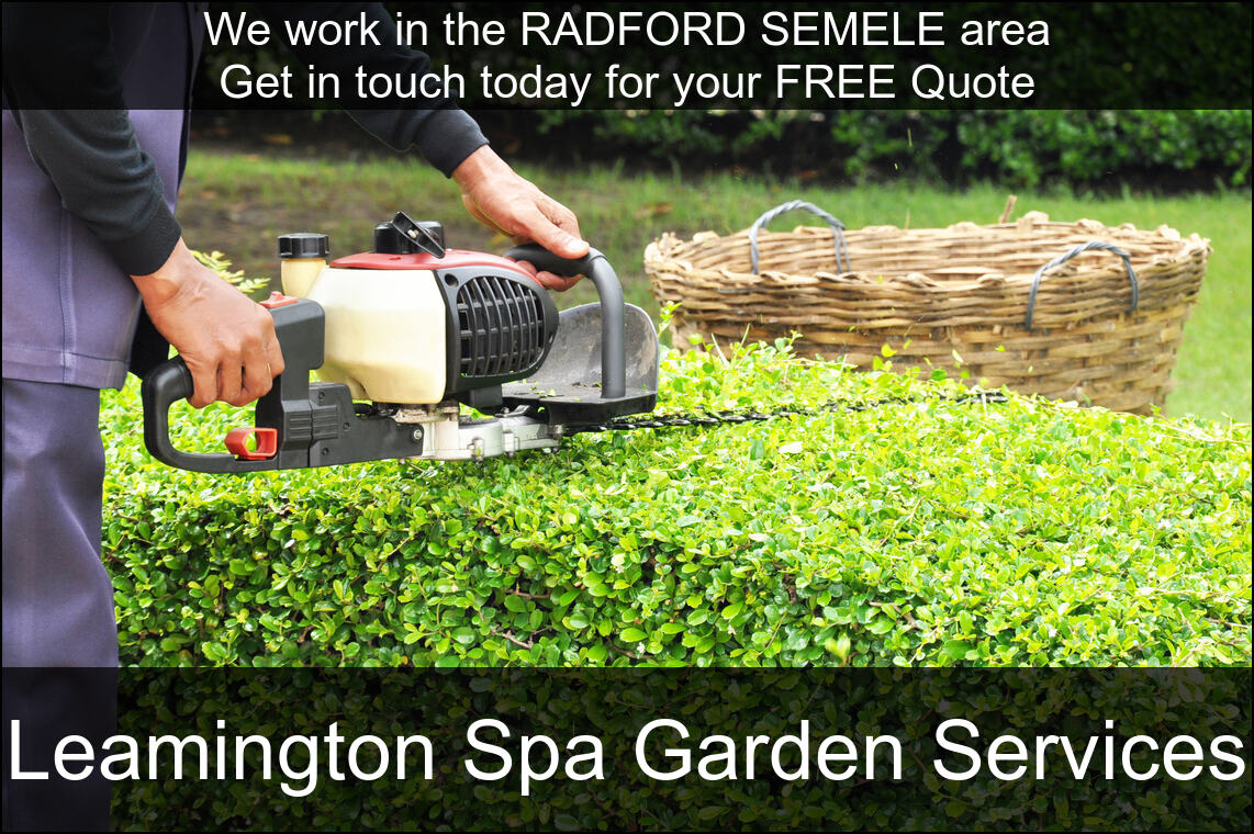 Hedge Maintenance Services near you in Radford Semele