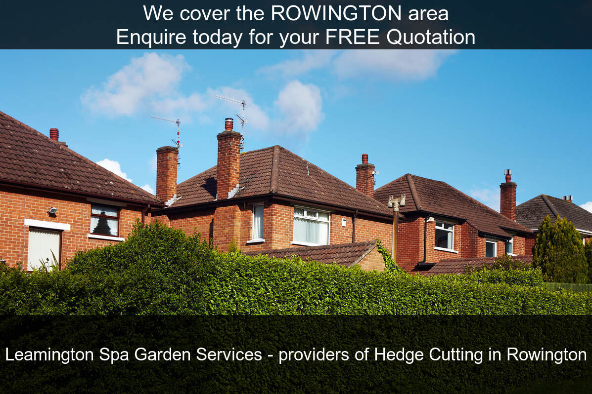 Hedge Maintenance Services near you in Rowington