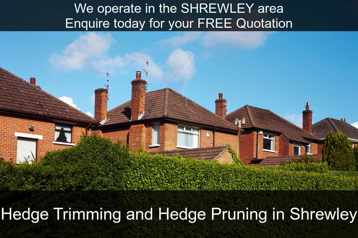 Hedge Maintenance Services near you in Shrewley