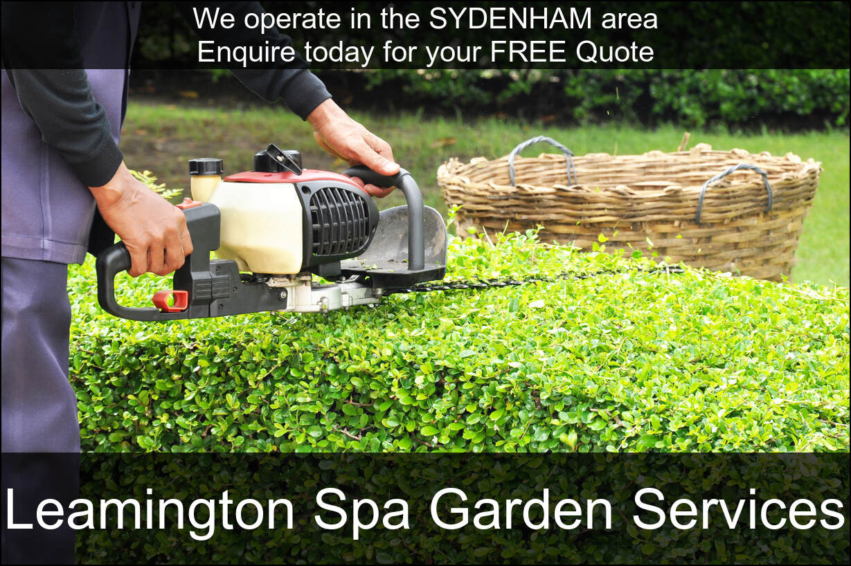 Hedge Maintenance Services near you in Sydenham