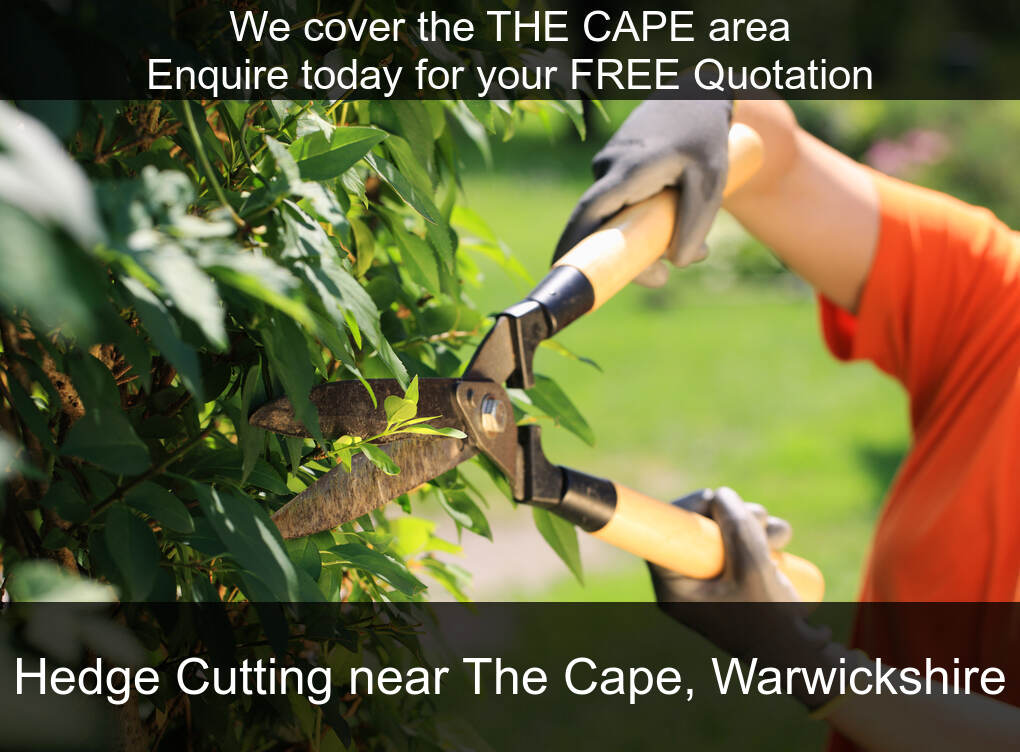 Hedge Maintenance Services near you in The Cape