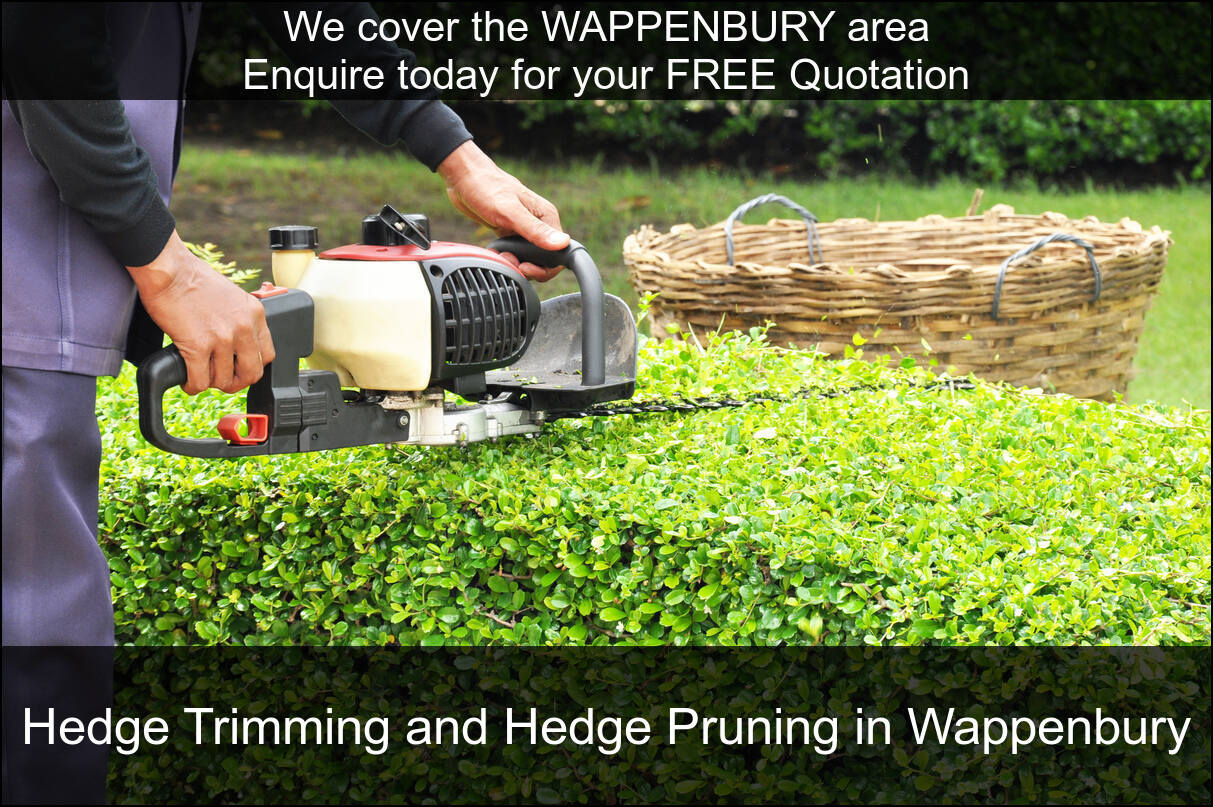 Hedge Maintenance Services near you in Wappenbury