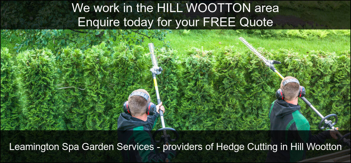 One of our recently finished hedge maintenance jobs in Hill Wootton, Warwickshire.