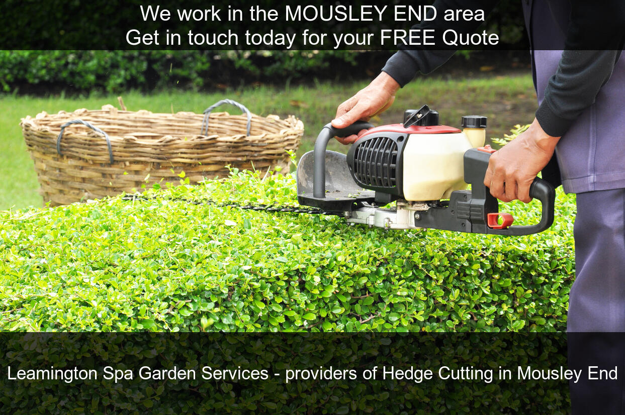 One of our recently finished hedge maintenance jobs in Mousley End, Warwickshire.