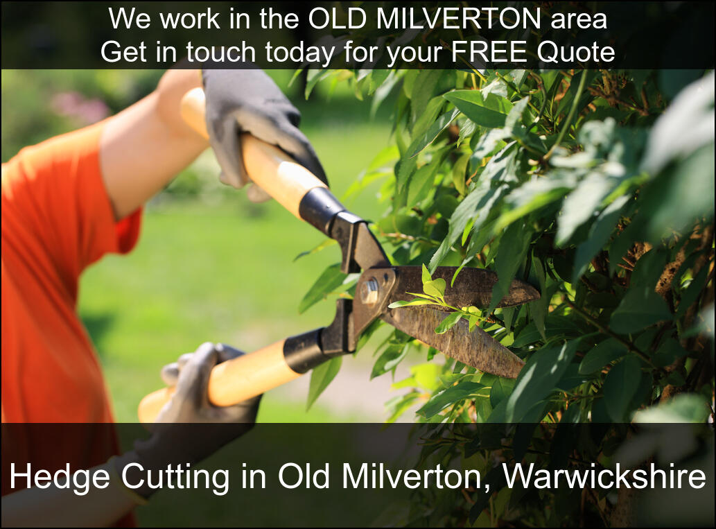 One of our recently finished hedge maintenance jobs in Old Milverton, Warwickshire.