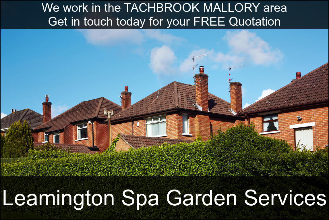 One of our recently finished hedge maintenance jobs in Tachbrook Mallory, Warwickshire.