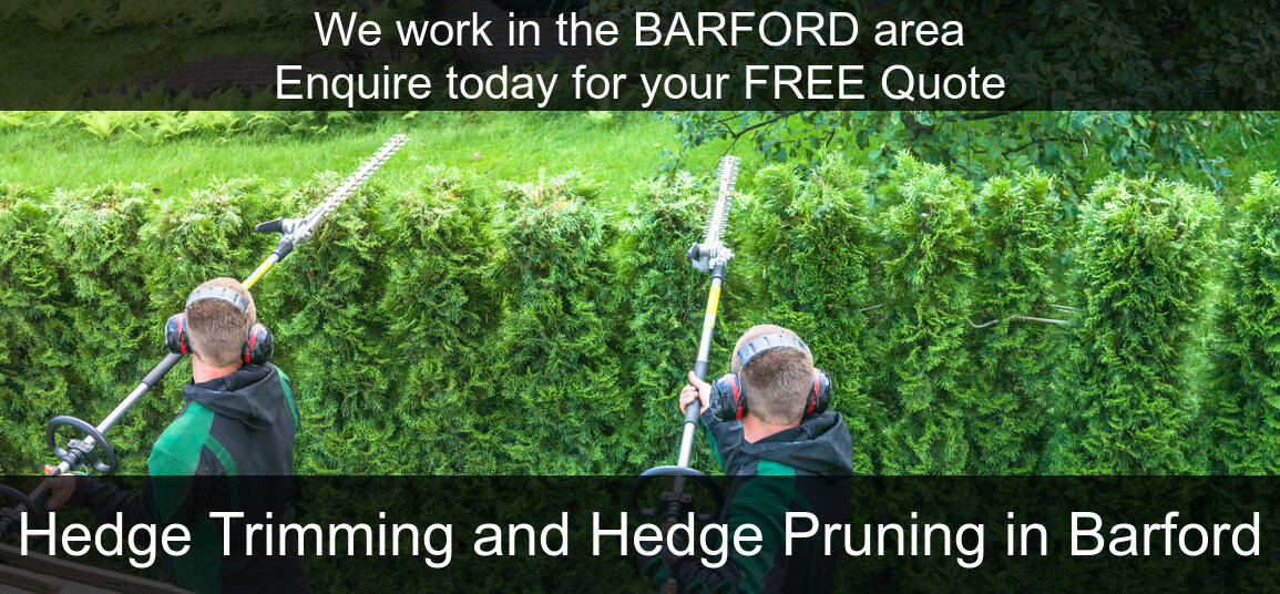 Hedge Maintenance in Barford