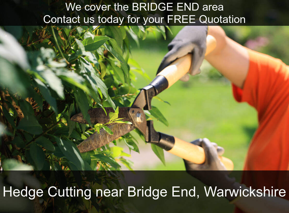 Hedge Maintenance near you in Bridge End