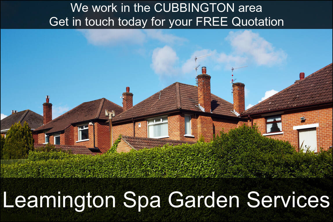 Hedge Maintenance in Cubbington