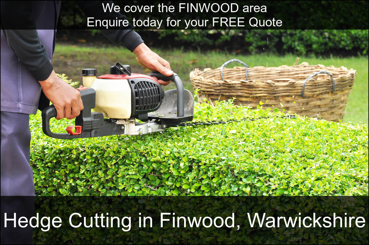 Hedge Maintenance near Finwood