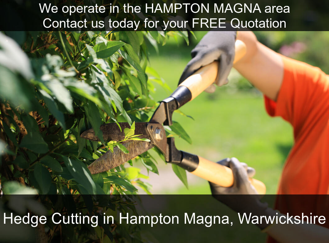 Hedge Maintenance in Hampton Magna