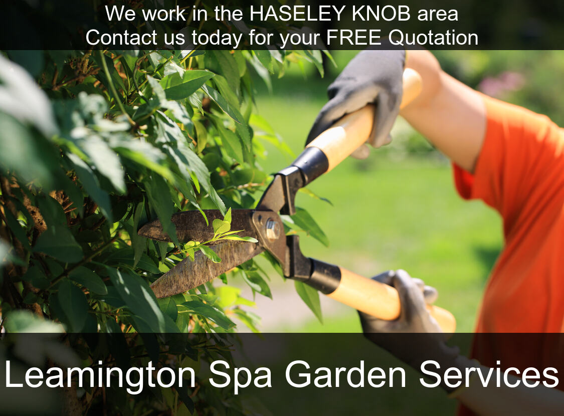 Hedge Maintenance in Haseley Knob