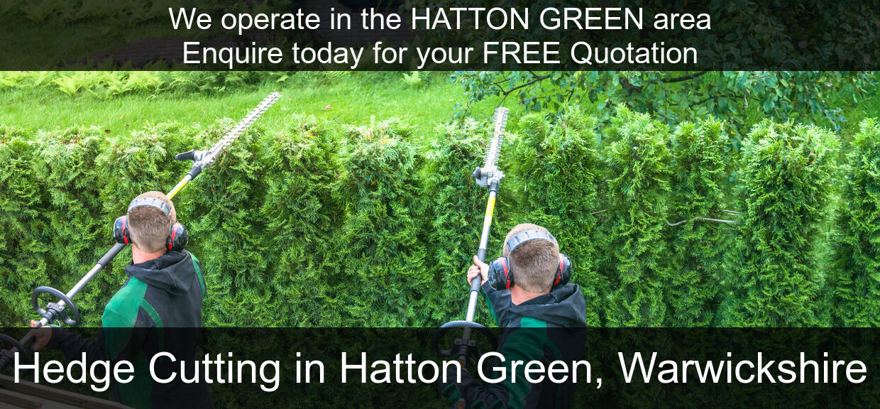 Hedge Maintenance near you in Hatton Green