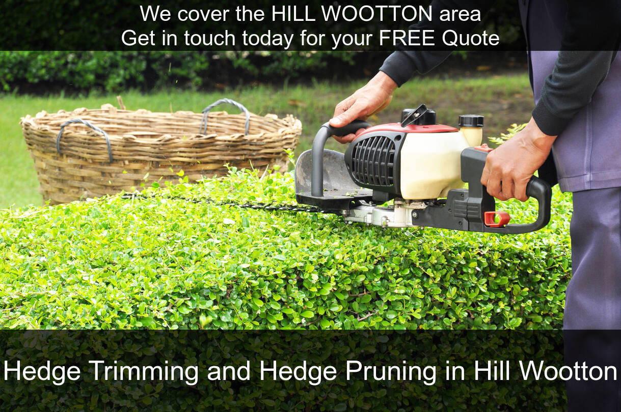 Hedge Maintenance in Hill Wootton