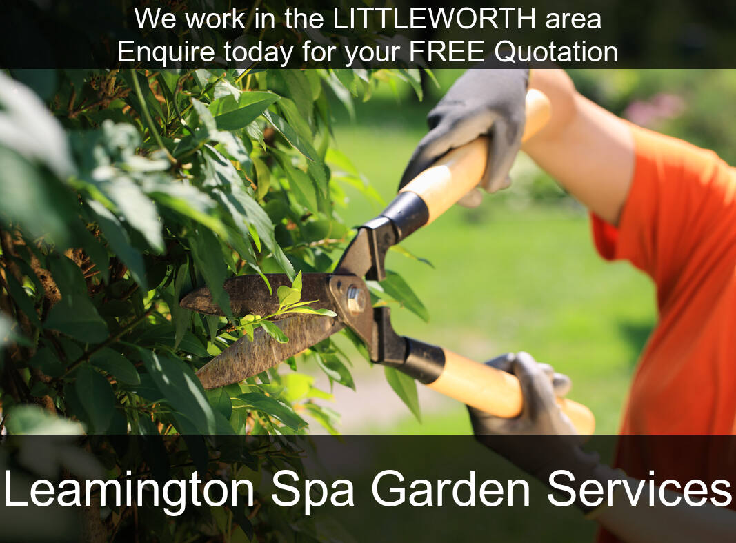 Hedge Maintenance near Littleworth