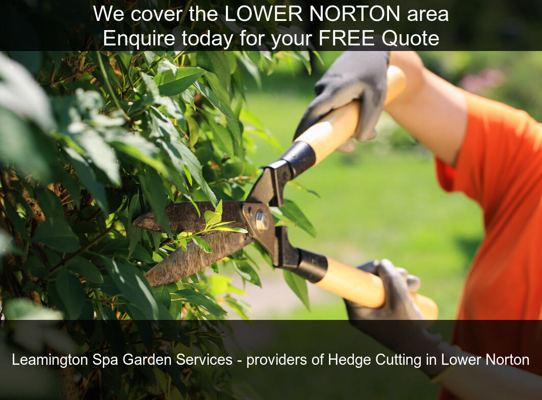 Hedge Maintenance near you in Lower Norton