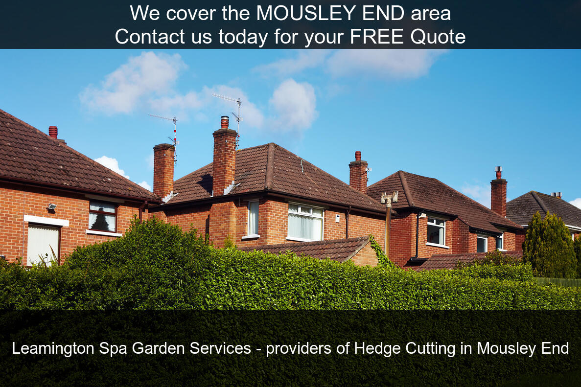 Hedge Maintenance in Mousley End