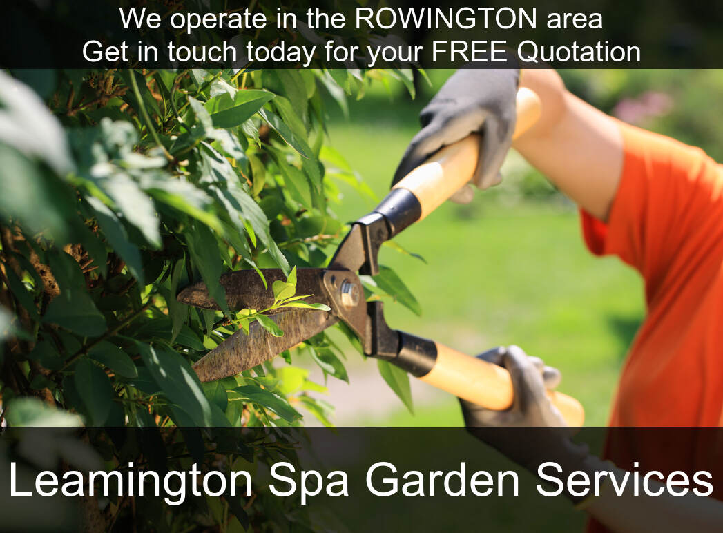 Hedge Maintenance near you in Rowington