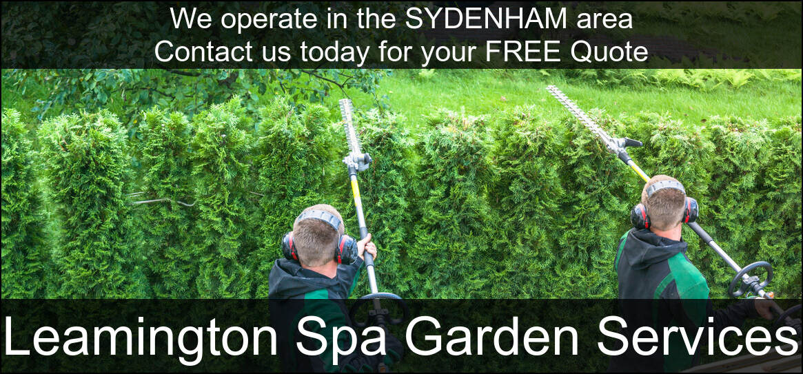 Hedge Maintenance in Sydenham