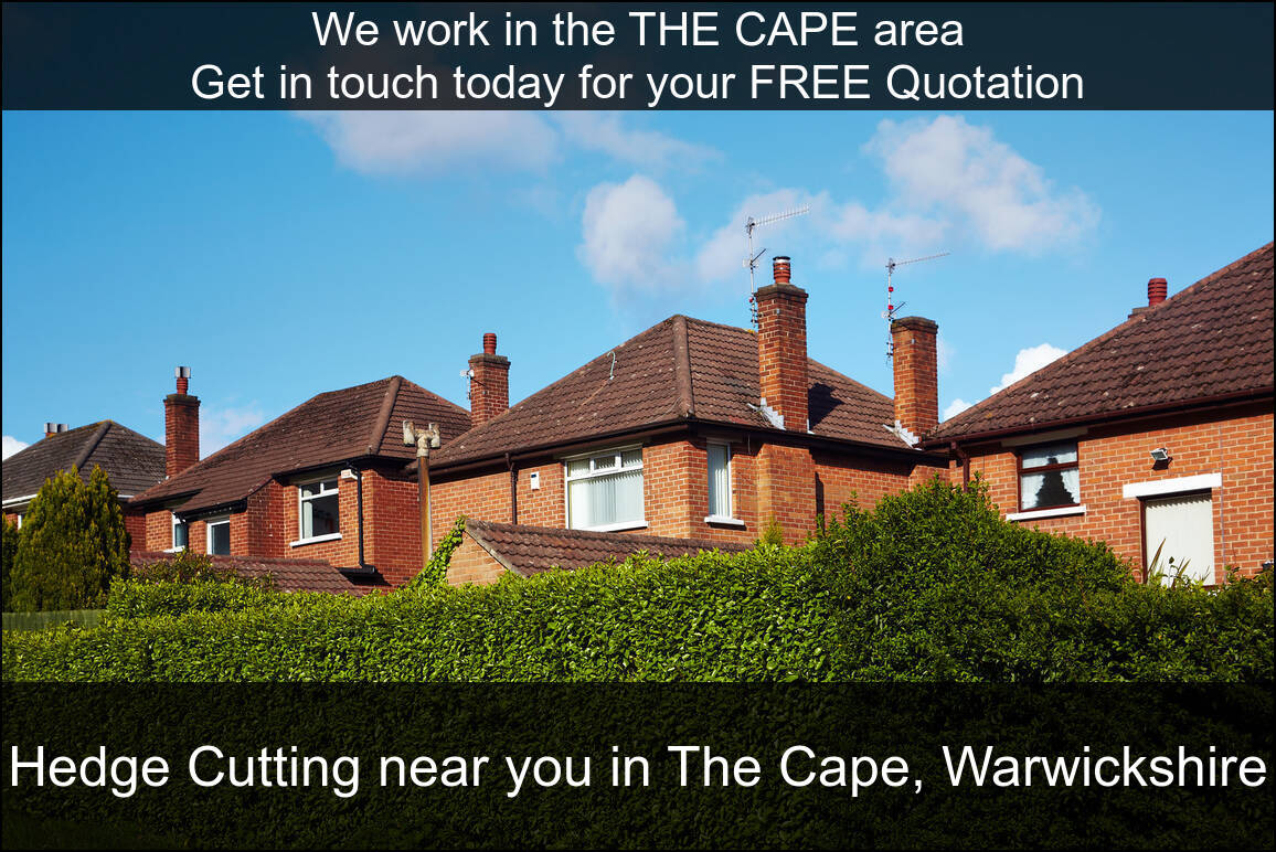 Hedge Maintenance near you in The Cape