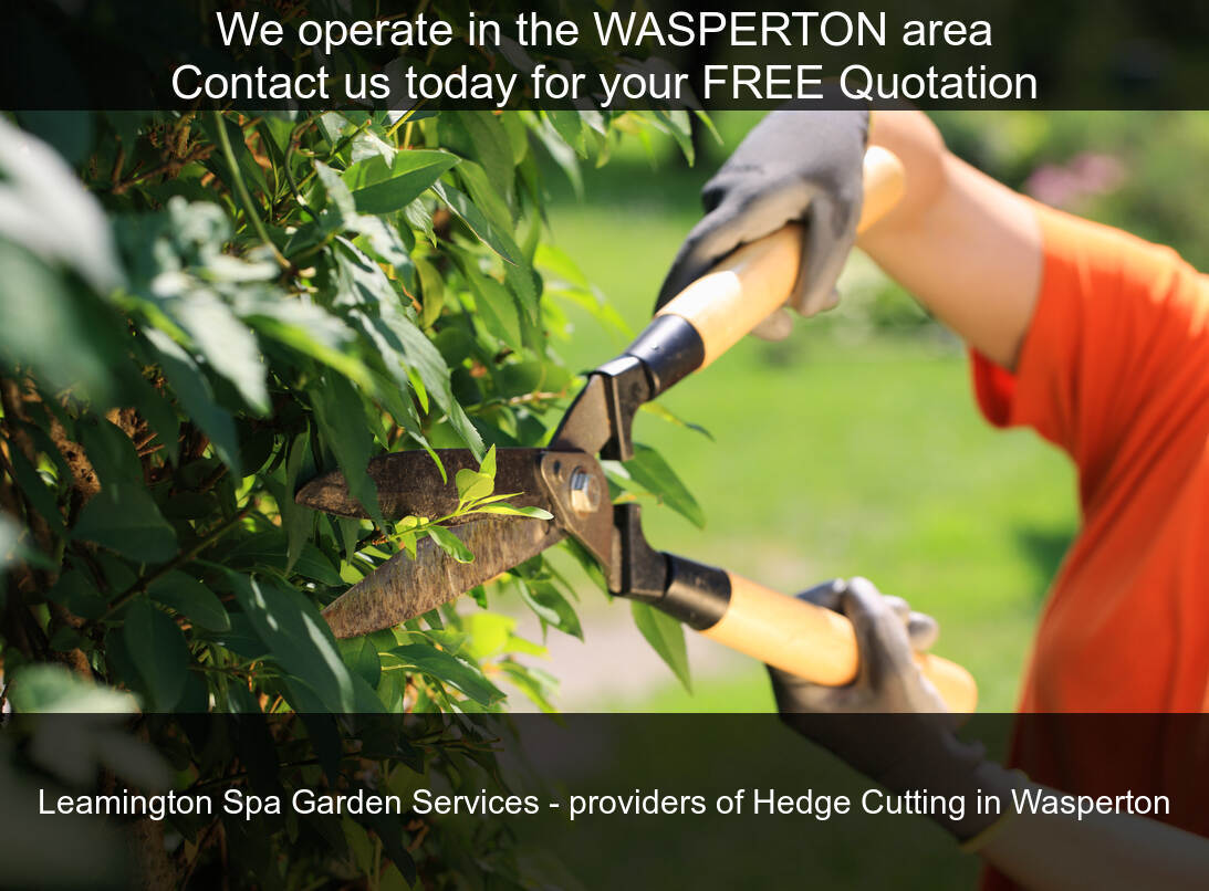 Hedge Maintenance near you in Wasperton