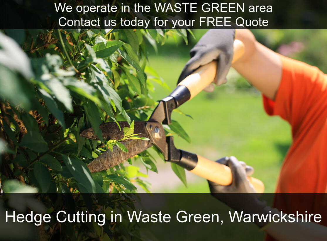 Hedge Maintenance near you in Waste Green